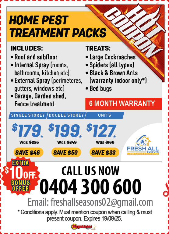 Coupon Banner