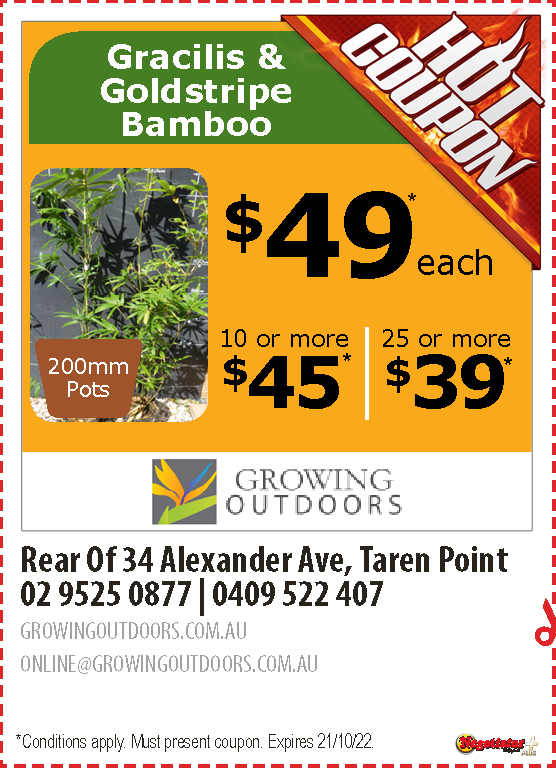Coupon Banner