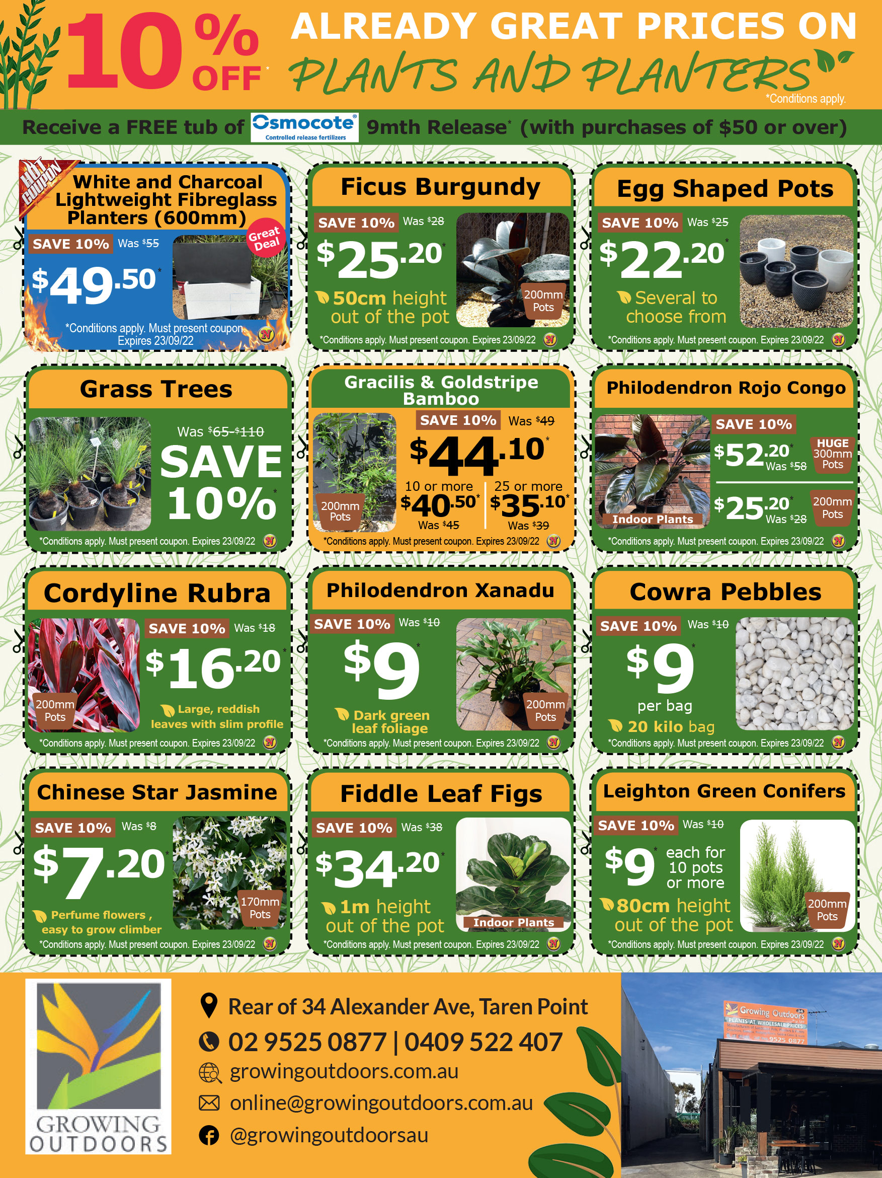 Coupon Banner