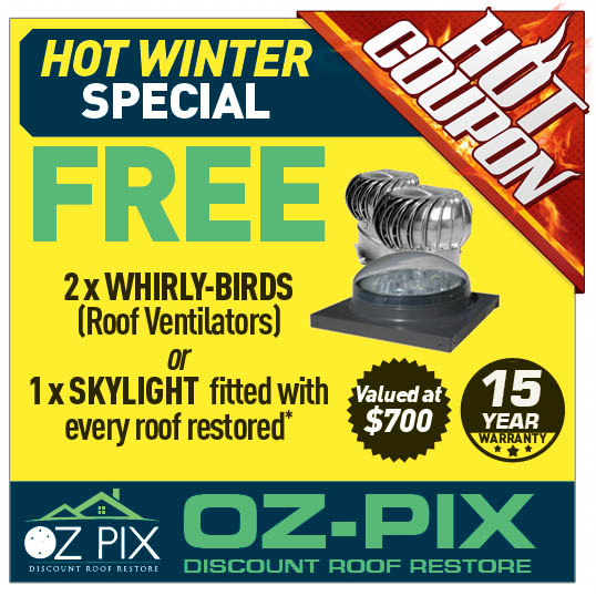 Coupon Banner