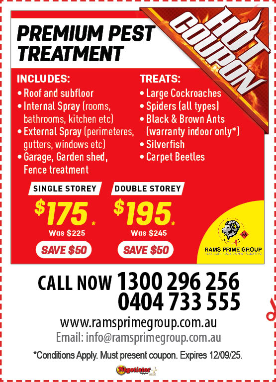 Coupon Banner