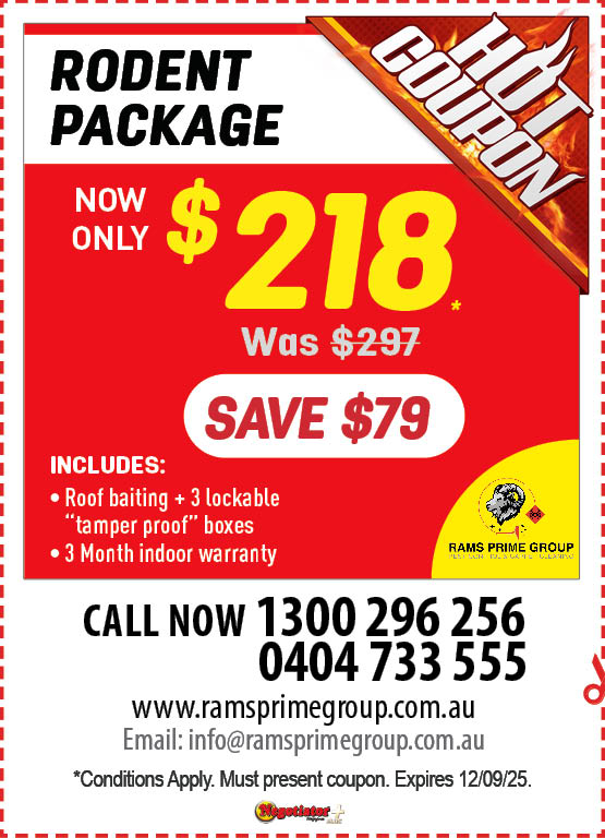 Coupon Banner