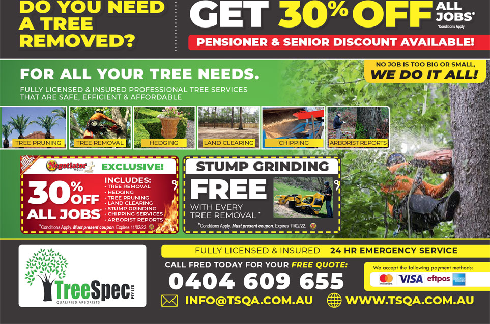 Coupon Banner