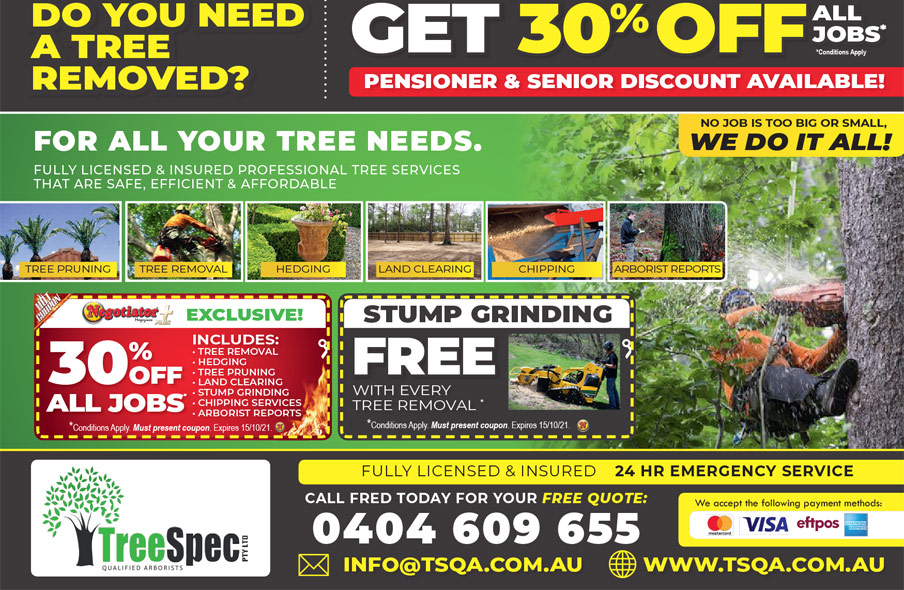 Coupon Banner