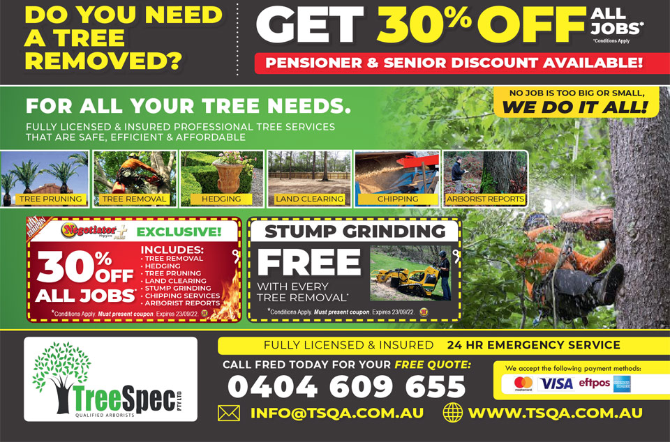Coupon Banner