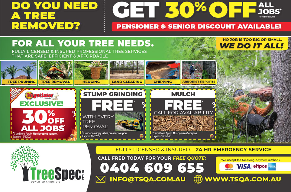 Coupon Banner