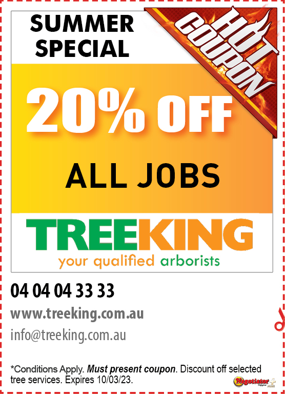Coupon Banner