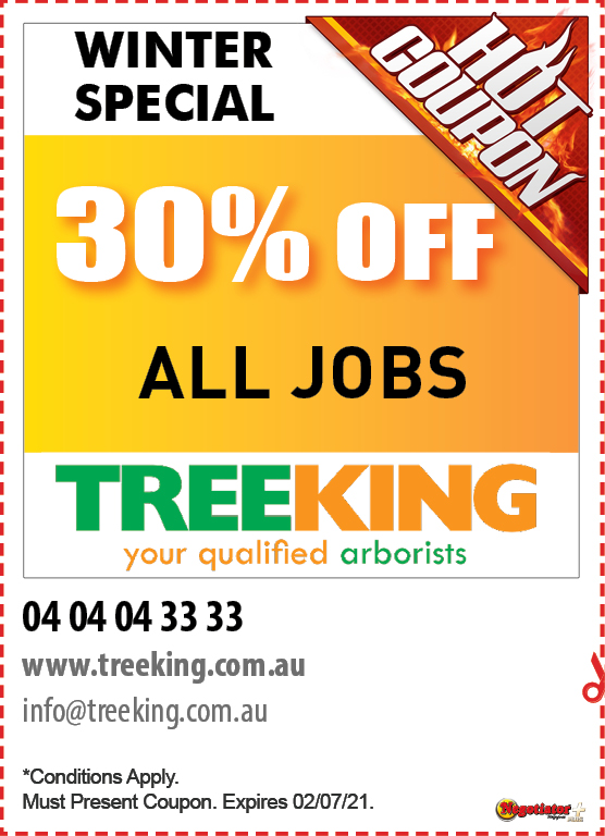 Coupon Banner