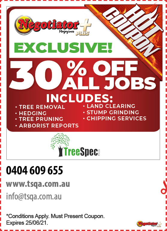 Coupon Banner