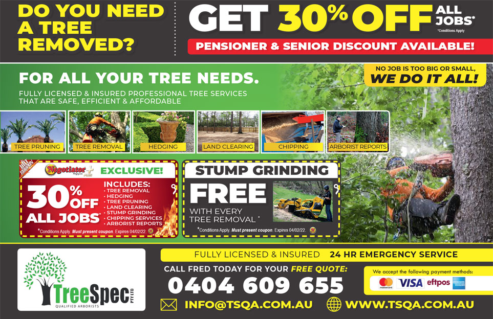 Coupon Banner