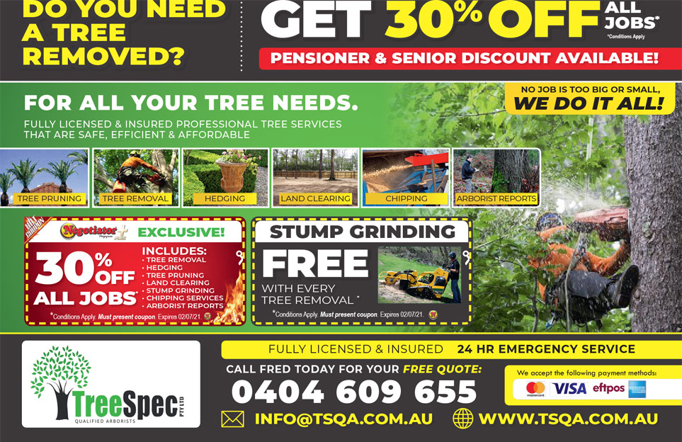 Coupon Banner