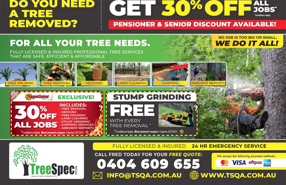 Coupon Banner