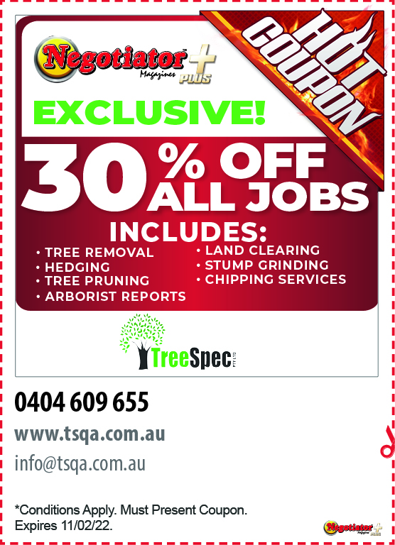 Coupon Banner