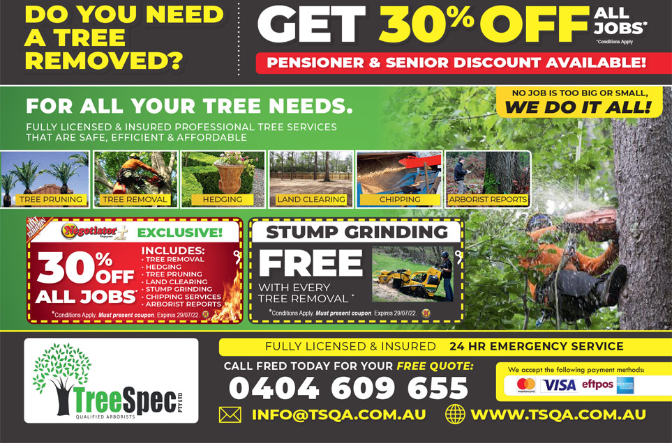 Coupon Banner