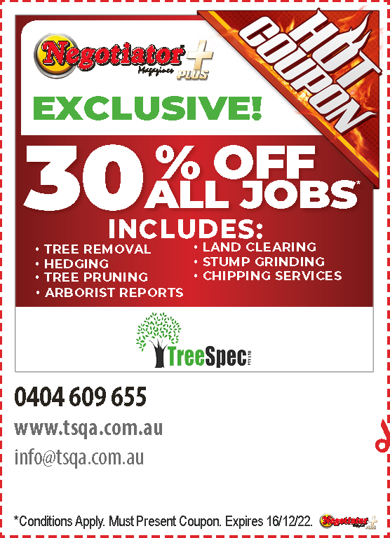 Coupon Banner