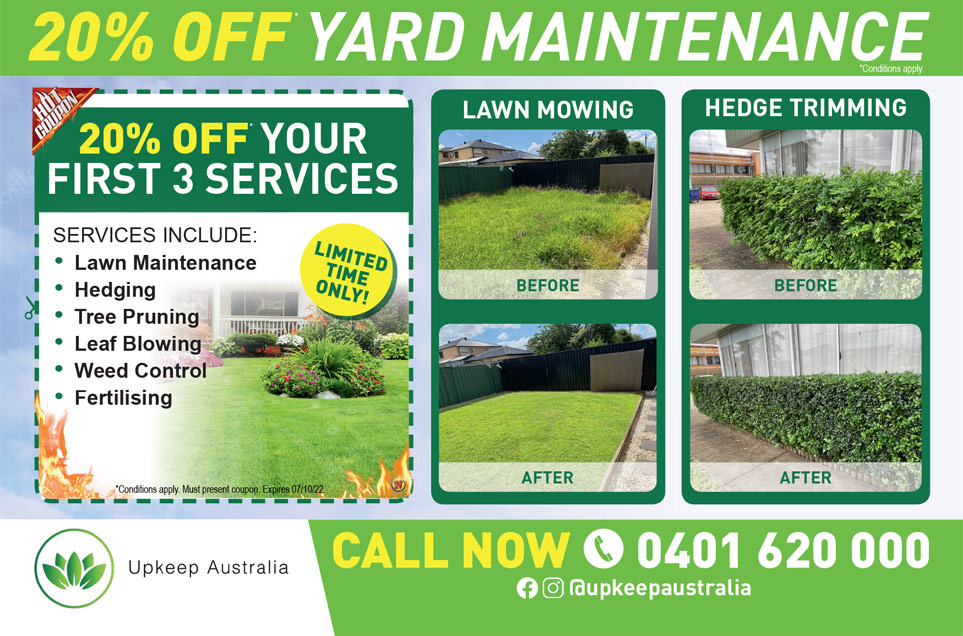 Coupon Banner