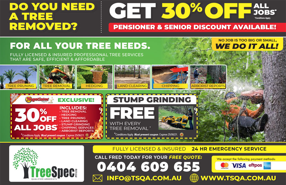 Coupon Banner